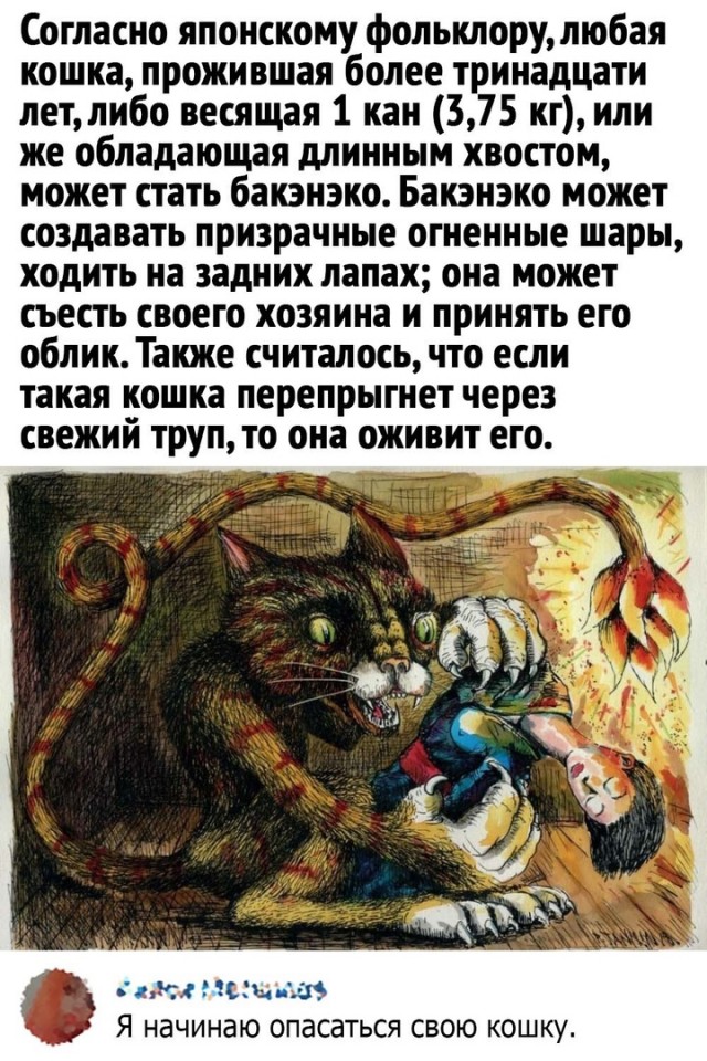Так себе картинки 05.03.22