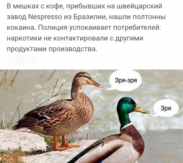 Забавные комментарии из социальных сетей (10.05.22)