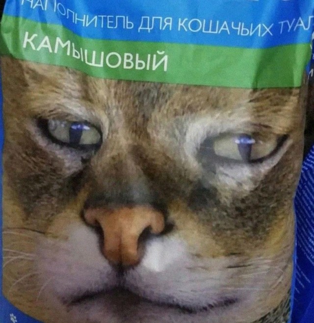Так себе картинки 11.06.22