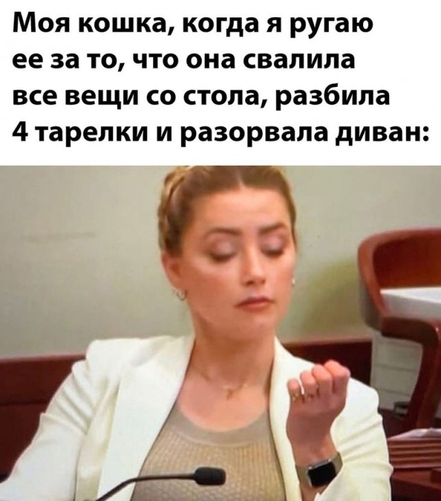 Весёлый полтишок 15.07.22