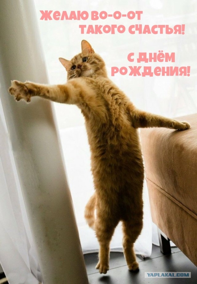 А давайте послушаем женщин, что они сами говорят про свою верность. Но только не мужчинам, а друг другу