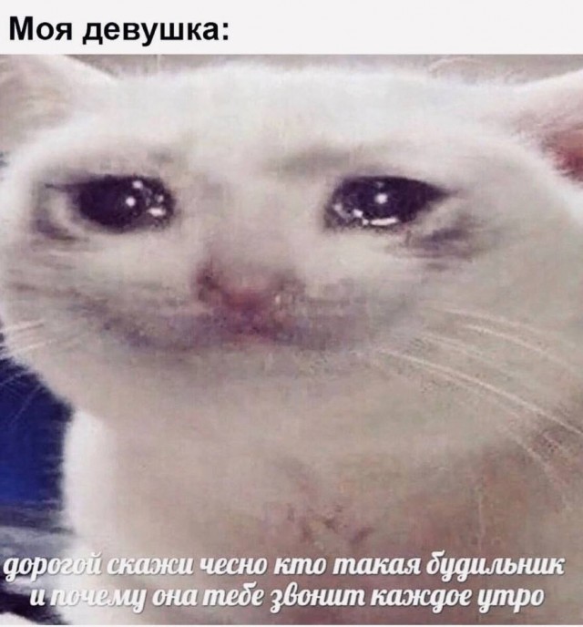 Немного мемчиков. Для взрослых. Часть 15