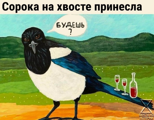 Дебют белочки.