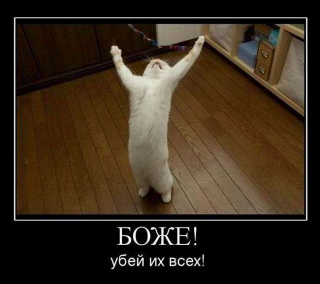 Поклонение солнцу