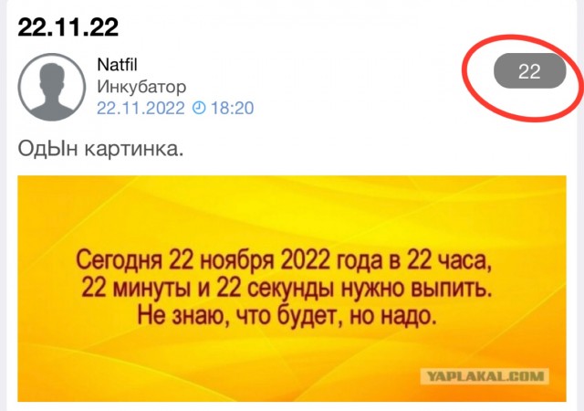 22.11.22