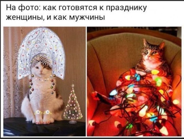 Победная поступь идиотизма по планете – том 4