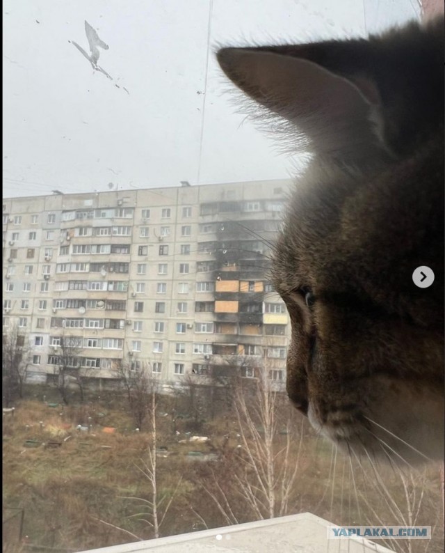 Трагедия Степана в трех актах