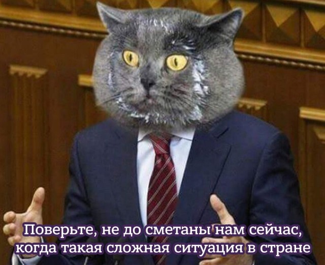 Сенатор Константин Долгов подрался в «Лужниках», когда его везли на матч финала Фонбет Кубка России на гольфкаре, на vip-трибуну