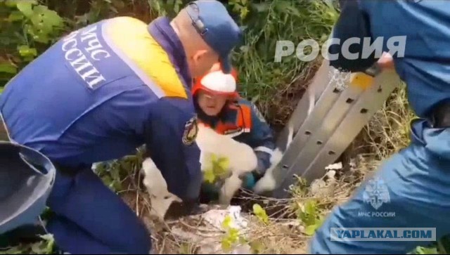 Демократия в опасности!