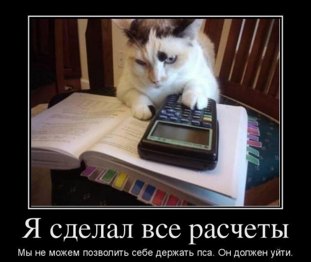 Изменила... Бросила! Нет, я не плачу...
