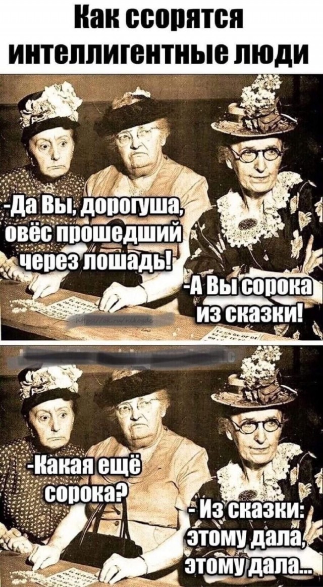 Весёлый полтишок 02.01.24