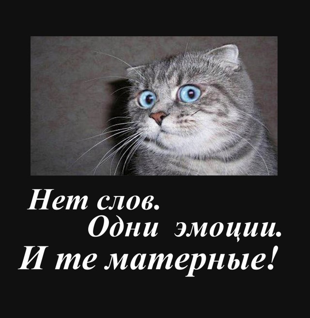 Мизулина младшая пригрозила студенту ответственностью за дискредитацию армии
