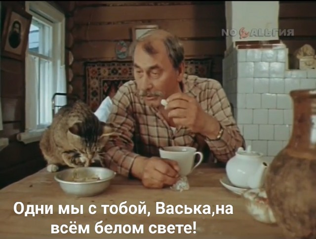 Парень выгнал свою девушку из дома из-за кота