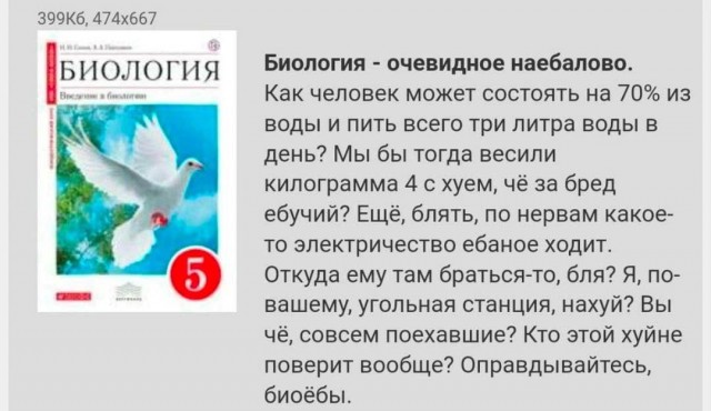 Всего понемногу. От 12.04.2024