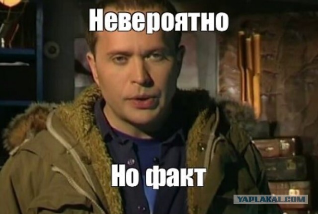 В Зеленограде девушка решила не спешиваться с самоката и попала под автобус.