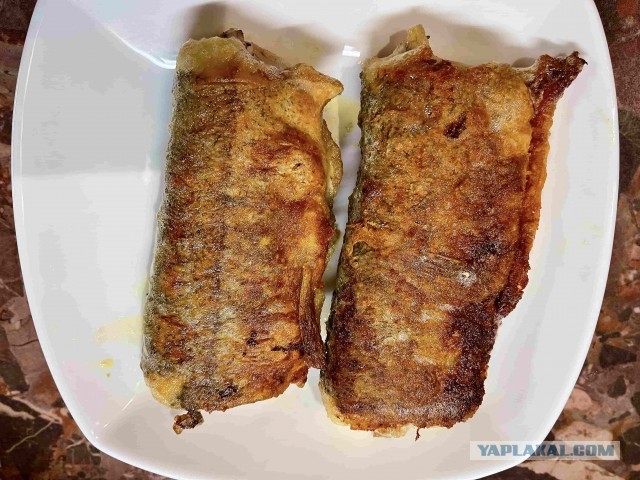 Тема про сома и про всяких вечно недовольных перцев. Кулинария, а может и нет. Короче, сейчас разберёмся.