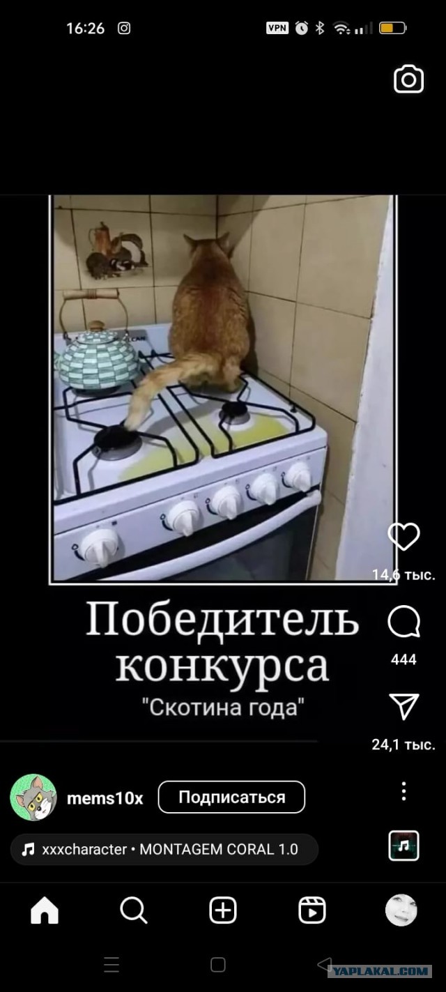 Так себе картинки 15.10.24