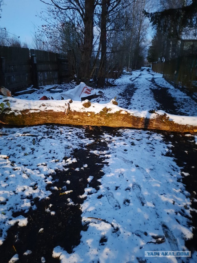 Ну вот и началась...