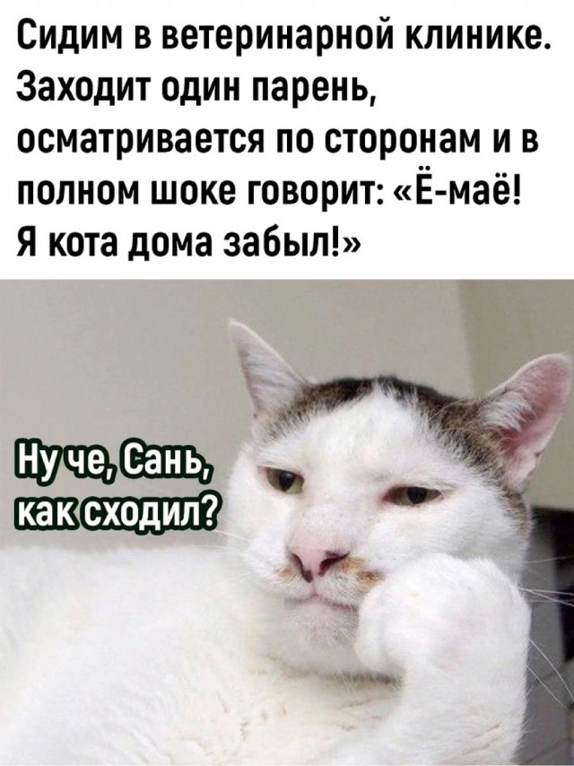 Завалялось тут случайно немного забавных картинок
