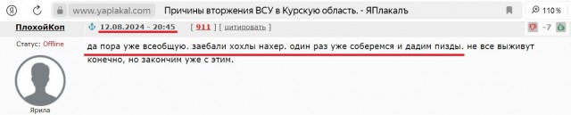 В ходе активных наступательных действий подразделения «Южной» группировки войск полностью освободили город Курахово