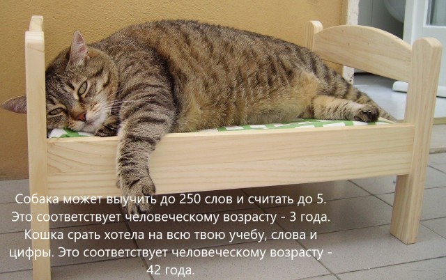 Затухаю к 40
