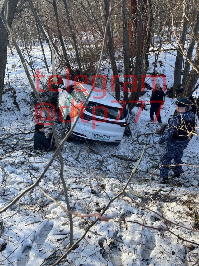 Зверьки в дикой природе оказались