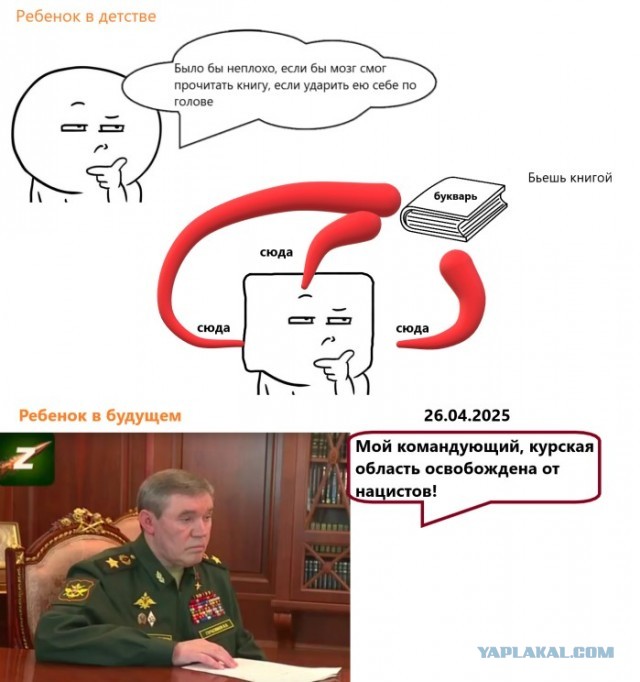 Курская область освобождена!