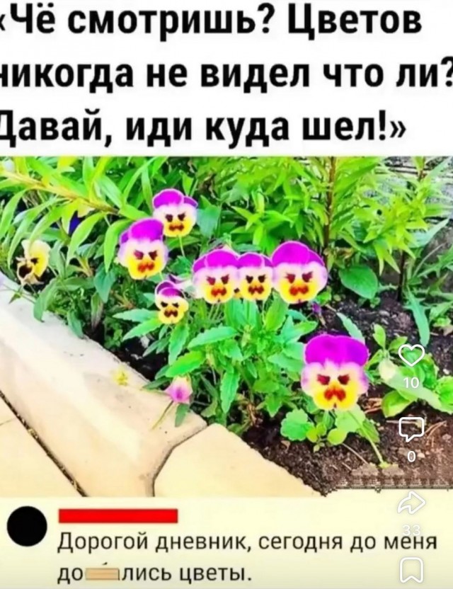 Так себе картинки 13.05.25