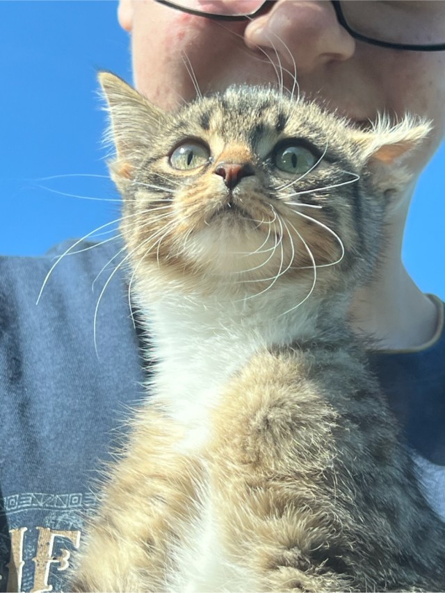 Как мы стали рабами!