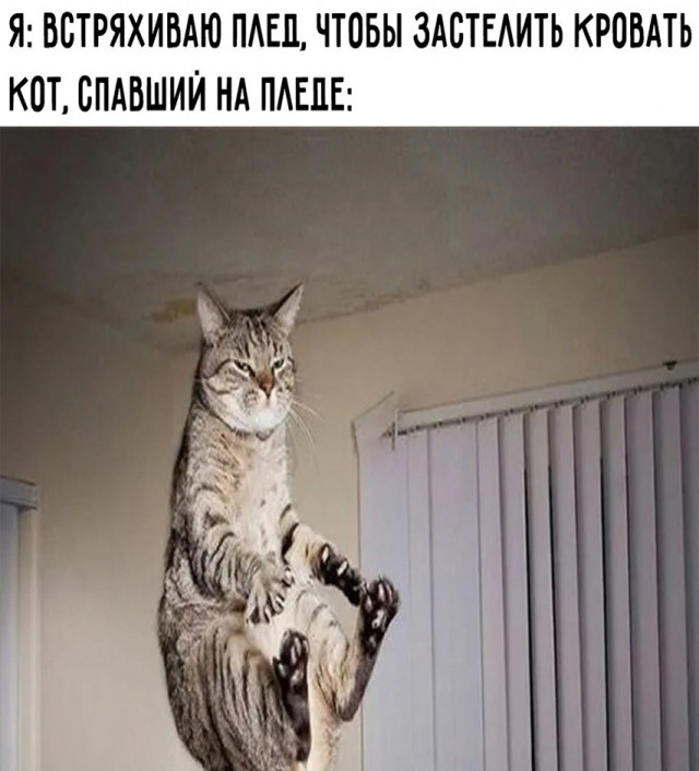 Немного картинкафф для настроения (баяны-перебаяны)
