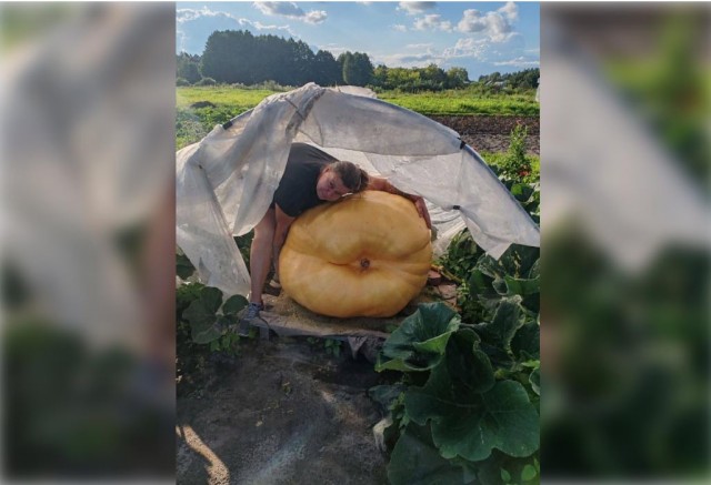 Урсулу порезали