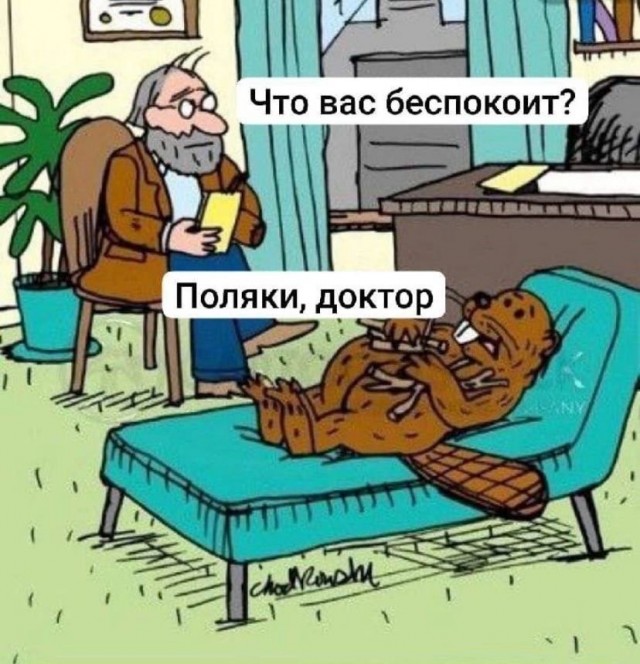 Веселое настроение в картинках (19.11.2025)