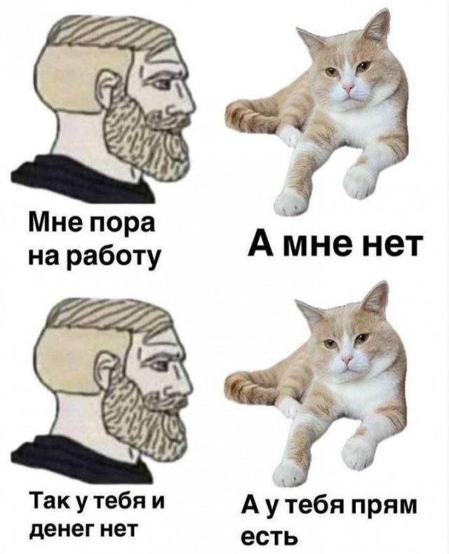 Шерстяные пидо.... братья наши меньшие