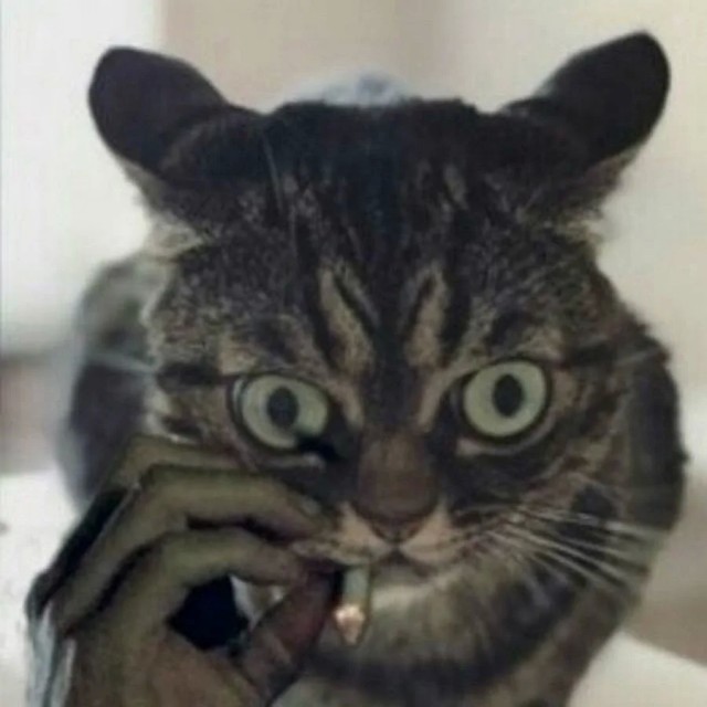 А вы как считаете?