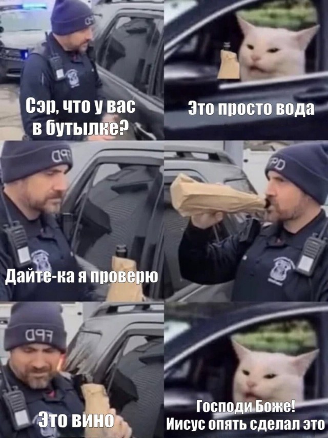 Субботние картинки
