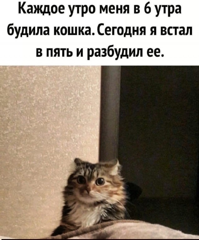 Среды картинки
