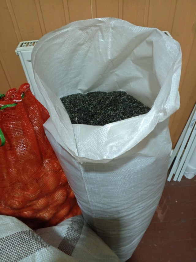 Синицы, кушают  много