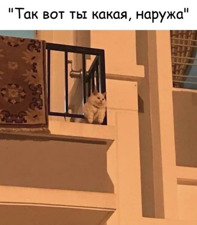 Картинки для деградации 160 (разной степени свежести)