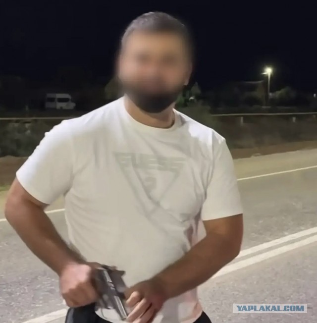 Разъезжали на авто с ложными номерами, мигалкой и "Пистолетом"