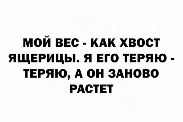 Веселые картинки в пятницу (29.05)