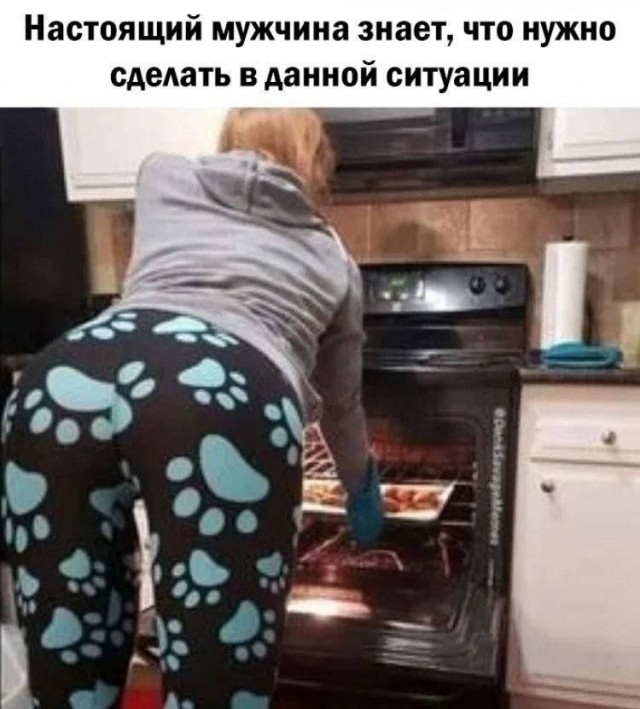 Картинки. Баяны и аккордеоны