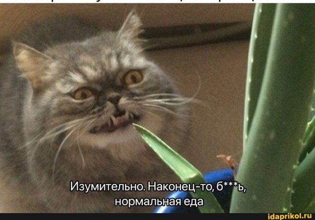 Наконец-то получились!