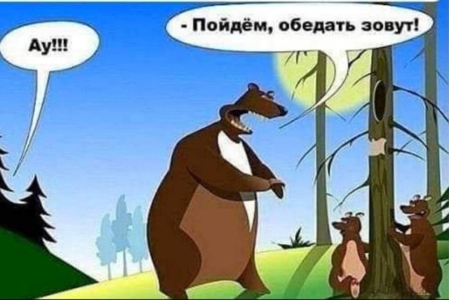 Девушки встретили медведя на тропе к водопаду Учар в Алтае