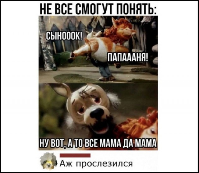 Так себе картинки 25.08.26