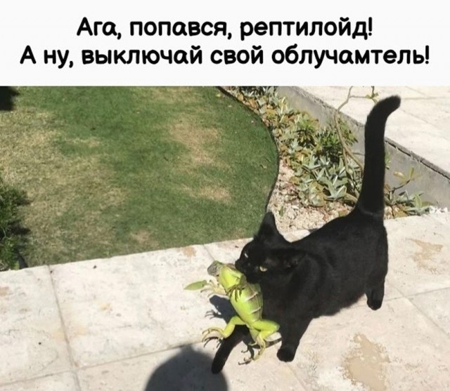 Так себе картинки 14.09.26