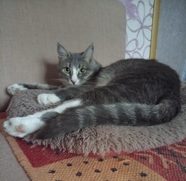 Доброе утро