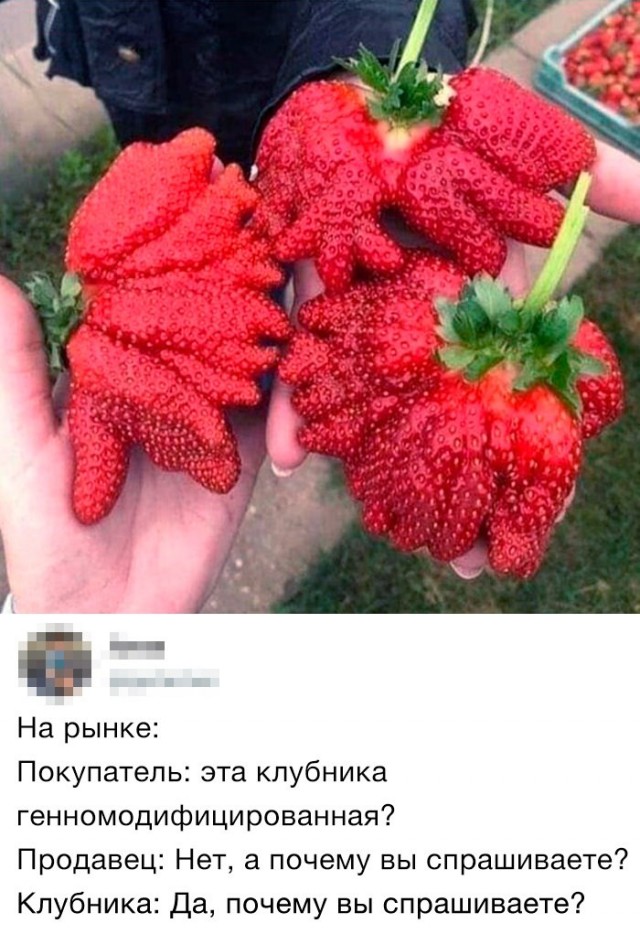 Веселые картинки в понедельник (12.10)