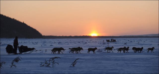 Идитарод 2010 - ледяная гонка
