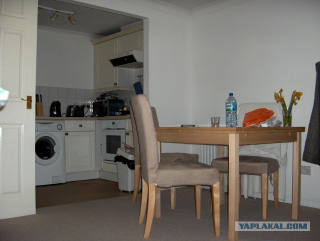 Как я в Англии практику проходил.