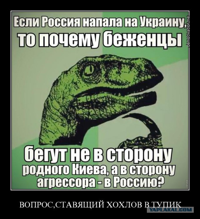 Укроимбицилы